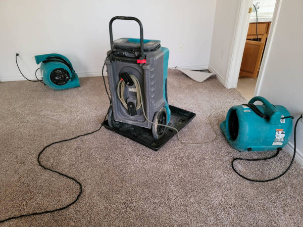 Best Ceiling water damage repair  in Pawnee, OK