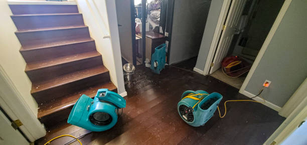 Best Flood damage cleanup  in Pawnee, OK