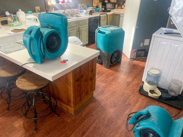  Pawnee, OK Water damage restoration Pros