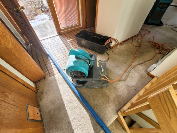 Best Water damage restoration near me  in Pawnee, OK