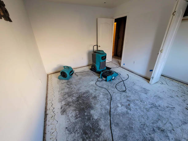Best Water damage restoration mold remediation  in Pawnee, OK