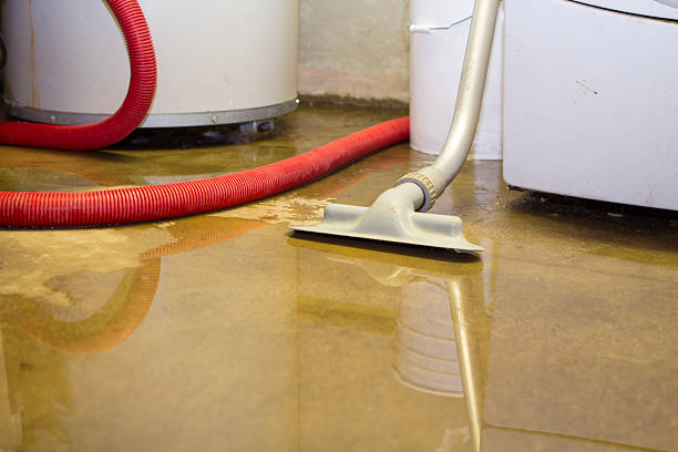 Best Local water damage restoration  in Pawnee, OK