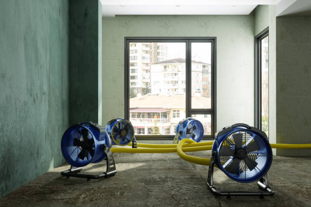 Best Water damage restoration near me  in Pawnee, OK